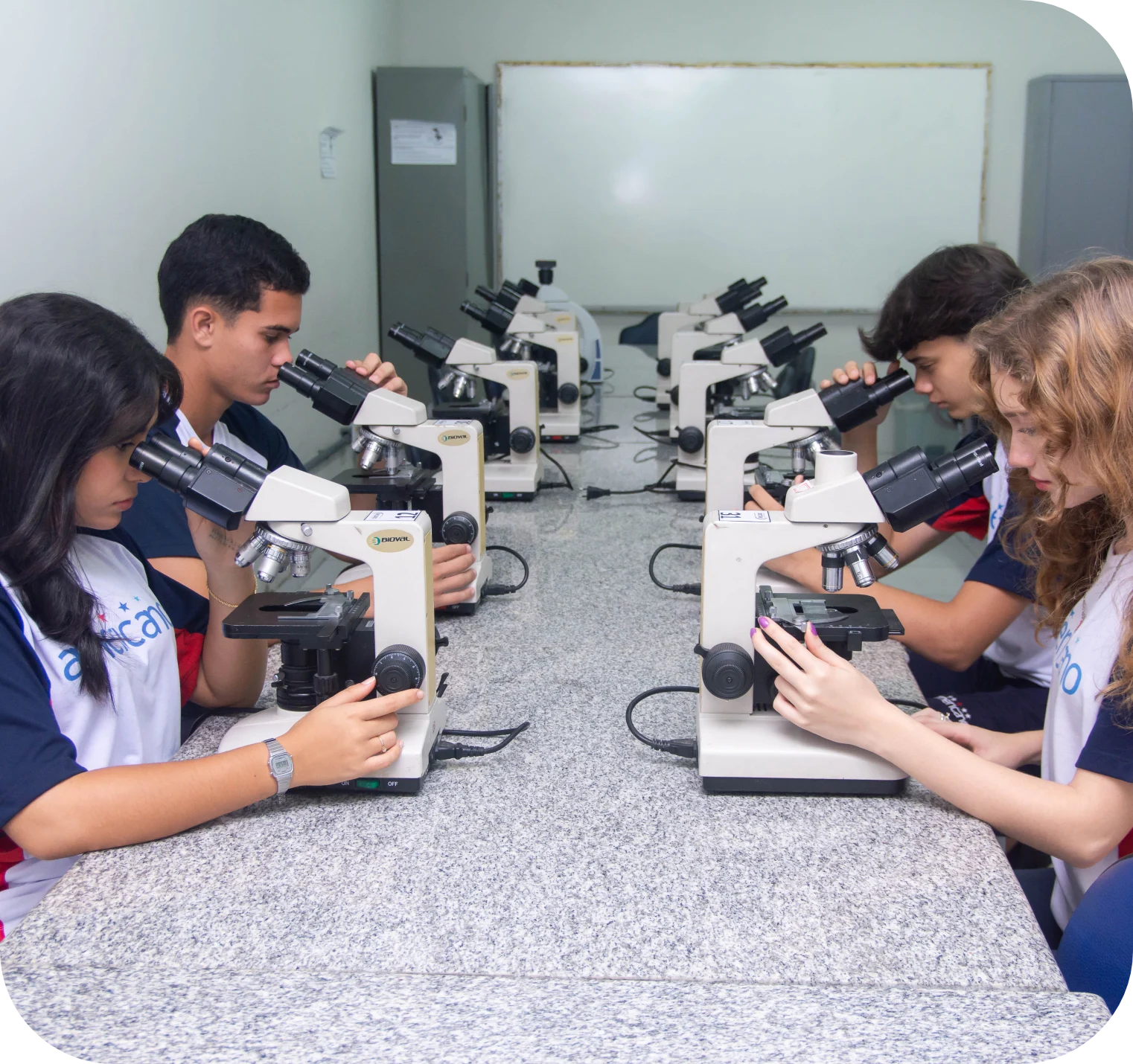 Alunos no microscópio